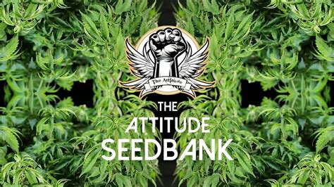 Attitude seed bank  Spend a Sub Total of £39 - $79